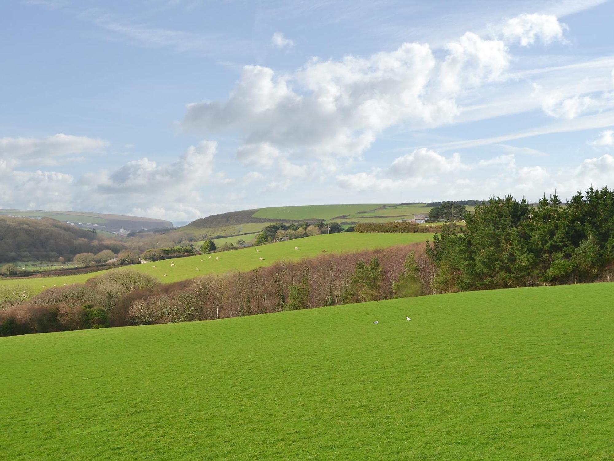 Merlin View St Mawgan Luaran gambar