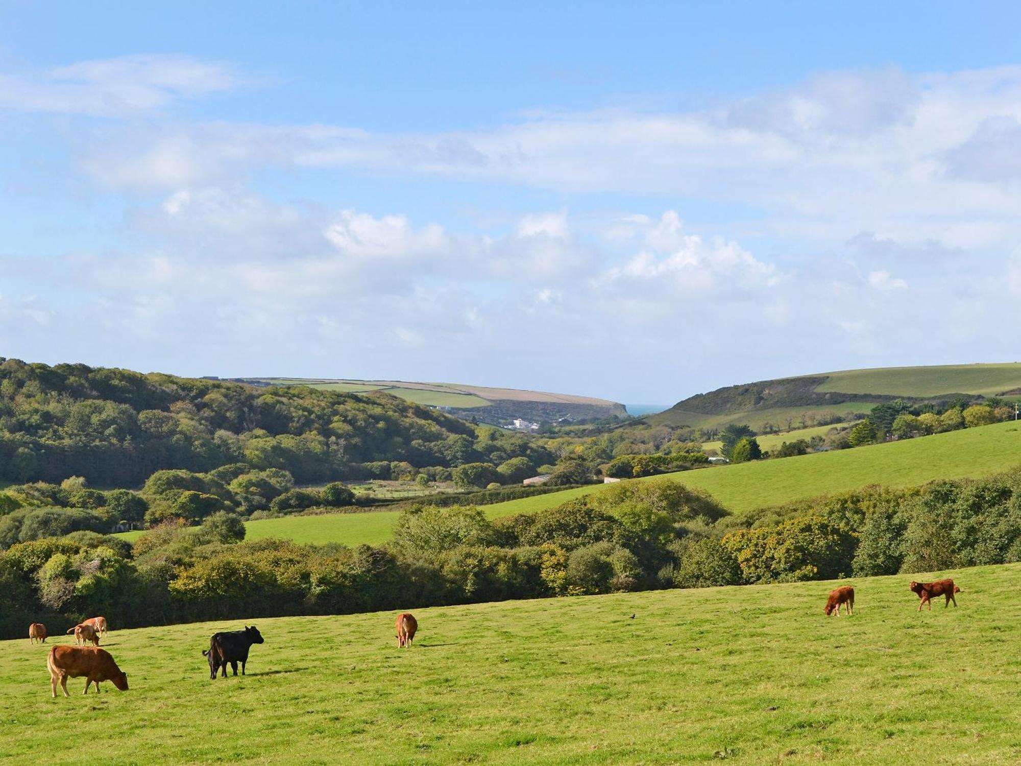 Merlin View St Mawgan Luaran gambar